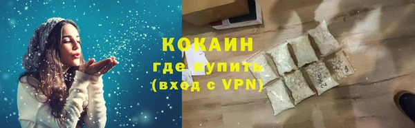 дмт Протвино