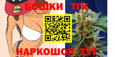 индика Пыть-Ях