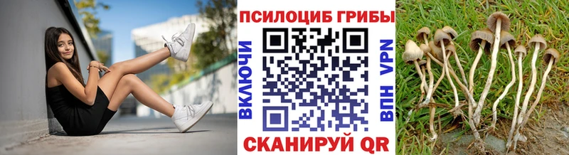 что такое наркотик  Торжок  Псилоцибиновые грибы прущие грибы 