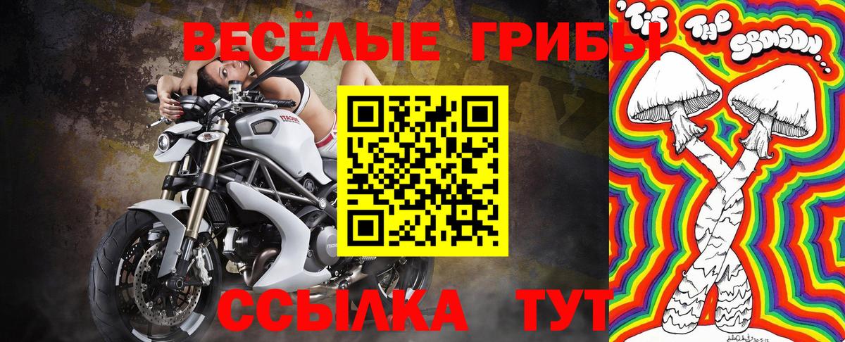 Псилоцибиновые грибы MAGIC MUSHROOMS  Вход с VPN  Галлюциногенные грибы мицелий  Торжок 