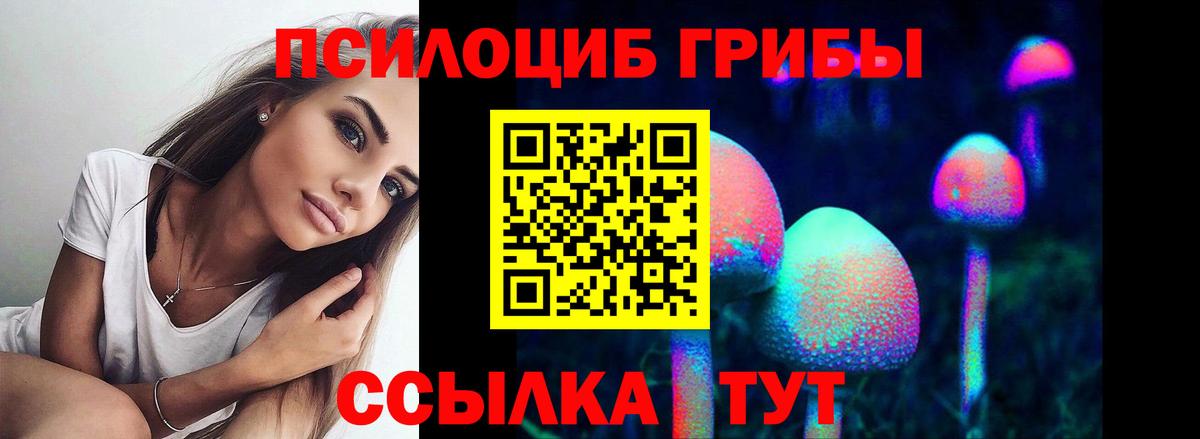 Галлюциногенные грибы Psilocybine cubensis Торжок